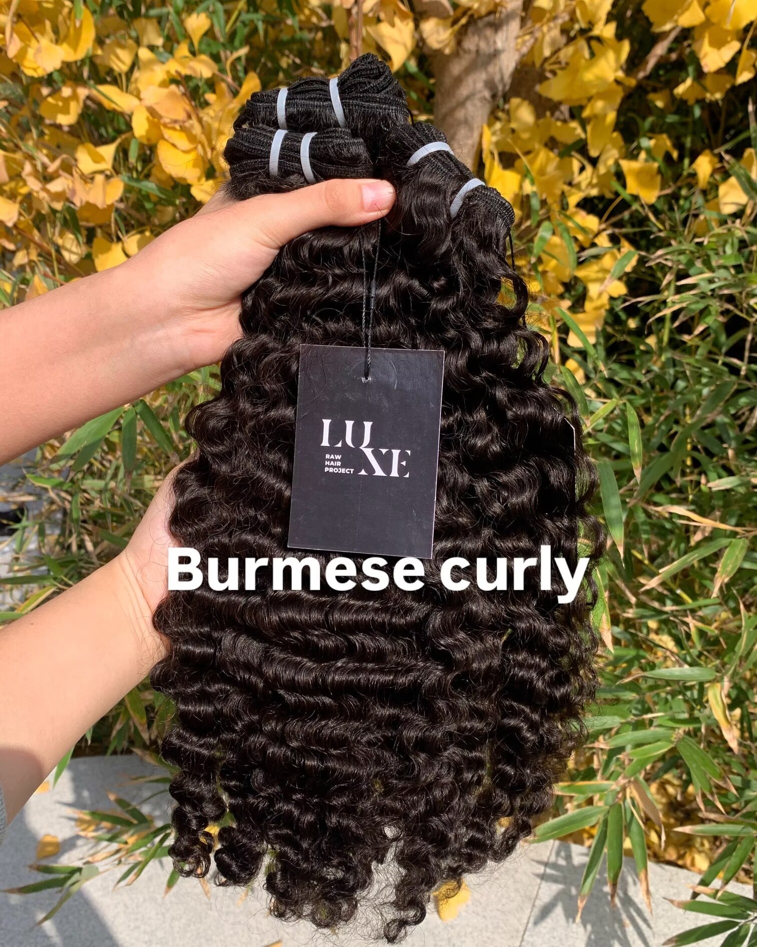Shea's order