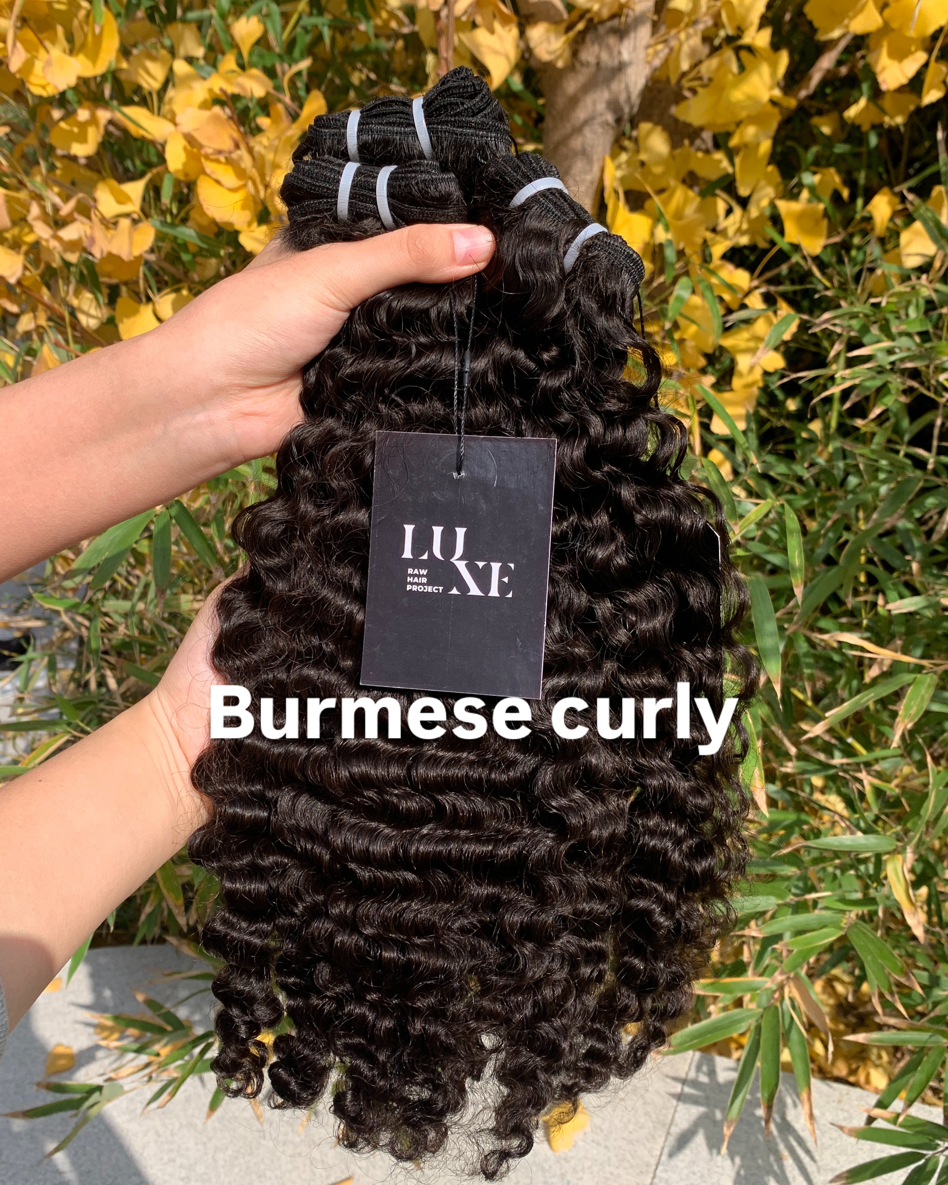 Raw Hair Burmese Curls 10"-30"